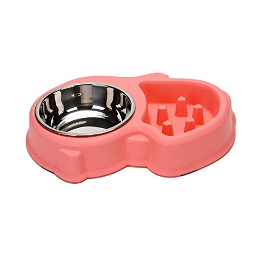 Duckart Slow Feeder Cat Bowl and Stainless Steel Dog Bowl for Feeding and Watering Interactive Bloat Stop Pet Bowl