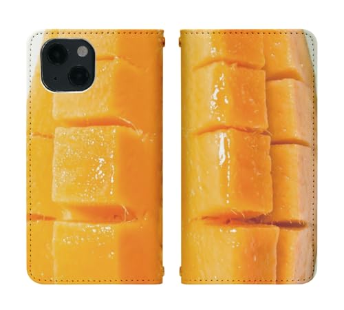 AQUOS PHONE EX SH-02F �p �P�[�X �x���g�Ȃ� �蒠�^ �J�o�[ �X�}�z�P�[�X bn885(W) �t���[�c �ʕ� �t���[�c�f�� �}���S�[