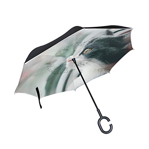 hengpai Paraguas invertido con efecto espejo para ventana de gato, para coche, impermeable, resistente al viento, a prueba de rayos UV, doble capa para mujer