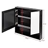 ALIMORDEN Medicine Cabinet with Mirror and Shelves, Oversized Bathroom Wall Storage Organizer Over The Vanity, Toilet, Recessed or Surface Mount, 30.4" L x 29.5" H, Black