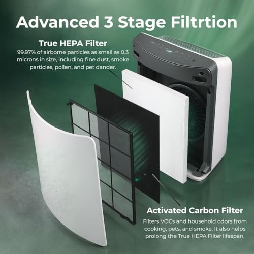 Image of Nispira D480 Replacement Filter Set Compatible with Winix D480 Air Purifier, Replaces Part 1712-0100-00, Includes 2 HEPA Filter and 8 Carbon Filters, 2 Set