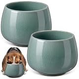 Acellegic 2 Pack 37 oz Dog Bowl for Long-Eared Dogs,Pale Cyan,Fresh