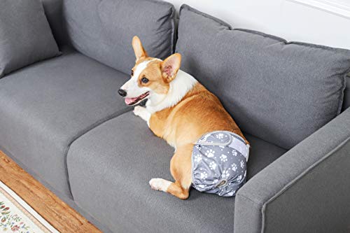 Image of Female Dog Diaper Reusable Washable Durable Absorbent Cloth Doggie Diapers Pants (M, Grey Footprint)