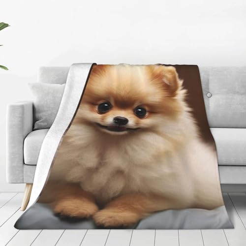 Couverture polaire motif Poméranie, cadeau idéal maison - 2