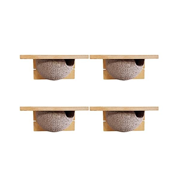 BigDean 4x Schwalbennistkasten Einzelnest Schwalbennest Mehlschwalbennest Nistkasten Nisthilfe Schwalben Holzbeton – Bild 3