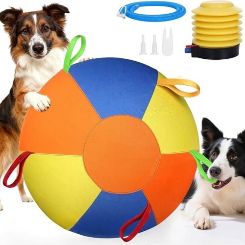 Balle de troupeau pour chiens : fini les jouets crevés par les grands chiens de berger