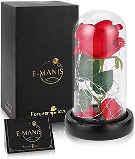 E-MANIS Enchanted Red Silk Rose,Beauty and the Beast Rose with Fallen Petals in A Light Dome,Home/Office or Home Decorations, Anniversary, Valentine's Day