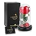 E-MANIS Kit de Rosas,La Bella y La Bestia Rosa Encantada,Elegante Cúpula de Cristal con Base Pino Luces LED,Beauty and Regalos Magicos Decoración para Día de San Valentín Aniversario Bodas