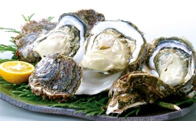 [要:配送希望日指定]隠岐のいわがき 岩牡蠣 岩がき 隠岐島で採れるプリプリ大粒でクリーミーな味わいをぜひ 大粒 牡蠣 カキ 岩ガキ 新鮮 濃厚 クリーミー