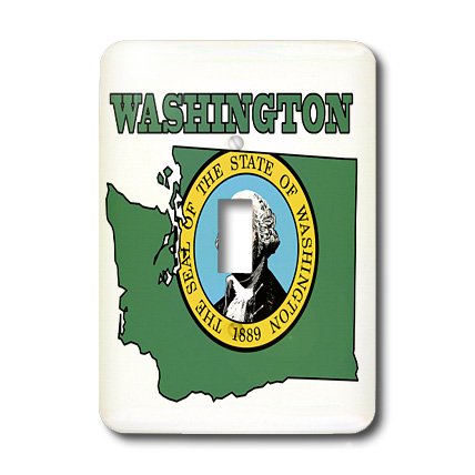Interrupteur simple Washington pour masquer les murs abîmés - 3