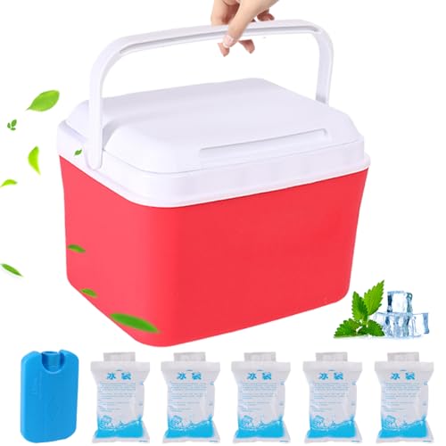 Mini glacière portable rigide de 5 pintes contre la chaleur en camping