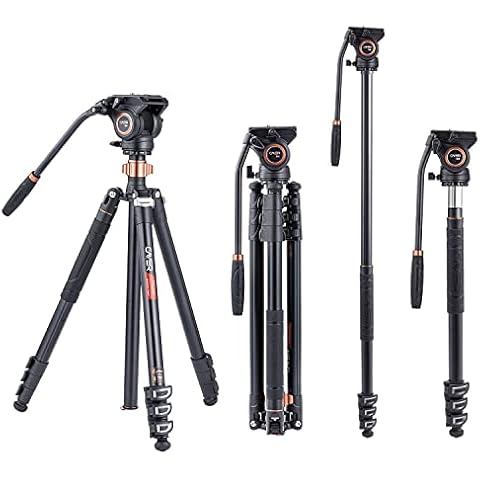 Cayer FP2450 Fluid Head Tripod, 75 inches Aluminium Tripod, 4-Section Compact Camera Tripod Convertible to Monopod for DSLR Camera, Load Capacity up to 13.2 Pounds Cover
