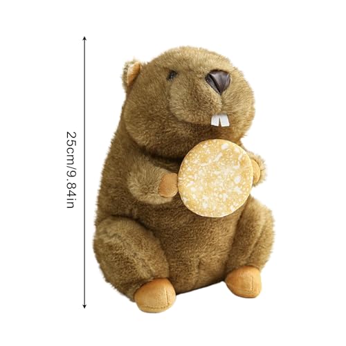 Oreillers avec figurines cadeau de Noël et Saint-Valentin