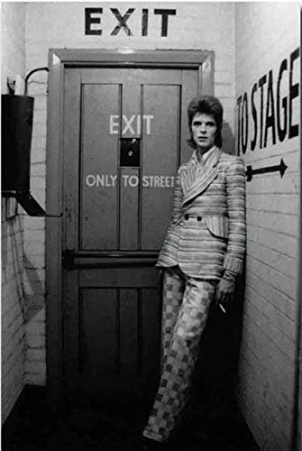 Surfilter David Bowie en Pop Art Poster sur toile et décoration murale moderne pour chambre à coucher 20 x 30 cm Sans cadre Cover