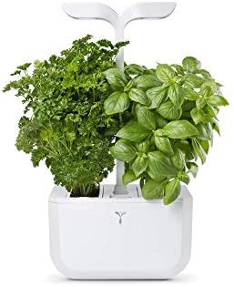 Veritable Exky Classic Indoor Garden, Arctic White