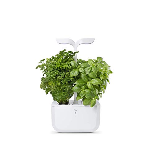 Veritable Exky Classic Indoor Garden, Arctic White #TOP2