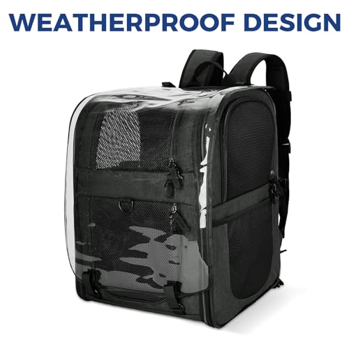 Image of Apollo Walker Pet Carrier Backpack for Large /Small Cats and Dogs, Puppies, Safety Features and Cushion Back Support for Travel, Hiking, Outdoor Use (Black-Expandable)