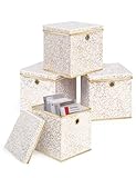 DAMAHOME Storage Cubes with Lids, 11inch Foldable Metallic Fabric Storage Cubes with Grommet Handle, Closet Organizer Shelf Basket Boxes, Nursery...