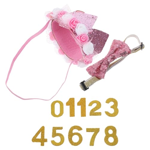 LOLIPPYY ybgpaNEXq plN ȒPőpr LpsNOb^[p[eB[pi o[Xf[ohAi t