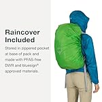 Osprey Hikelite 26L Unisex Hiking Backpack, Pine Leaf Green - Image 5