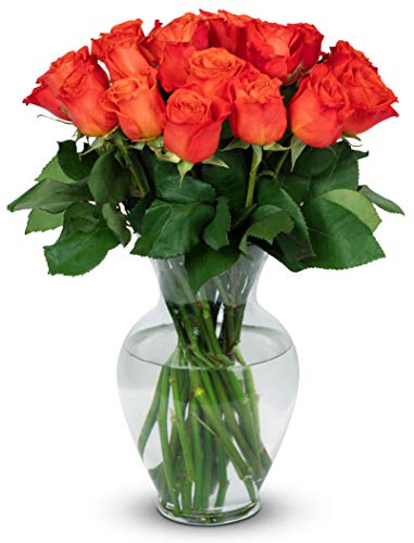 Benchmark Bouquets - 24 Stem Premium Orange Roses (Glass Vase Included) - Fresh Flowers for Delivery - Gift for Graduation, Birthday, Anniversary, Sympathy, Get Well, Congratulations