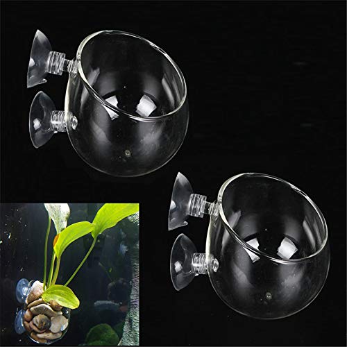 Fellibay Aquatic Plant Holders Bonsai Pots Clear Aquarium Tanks Bare-Bottom Tanks Shrimp Glass Pots Fish Tanks with 2 Suckers for Home Fish Aquarium Furniture Decor 2 Pcs