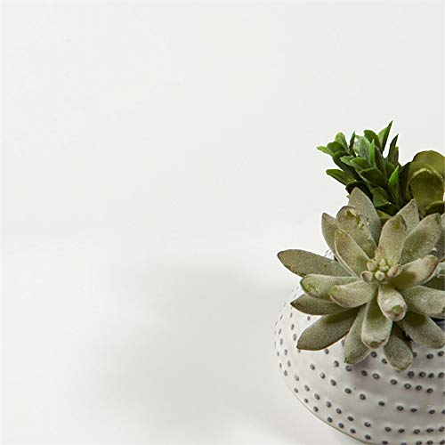 Tvilum Diana Sideboard With 2 Doors And 1 Drawer, White Oak #TOP6