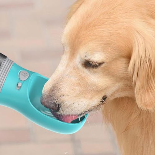 Botella de agua para perros portátil y dispensador de acero inoxidable 4