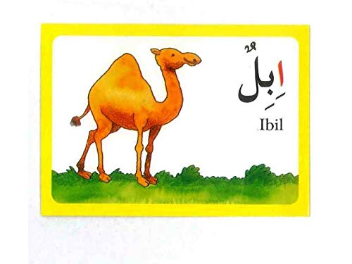 Arabic Alphabet Flash Cards (English And Arabic Edition) #TOP3