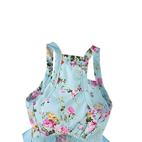 Roupas de princesa para animais de estimação DSstyles - Vestido para cachorro com laço e saia para p