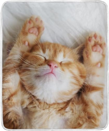 L uPbg blanket tl ӂ肨ѕzI[V[Y 􂦂 Ђ| uPbg h 100cm×125cm