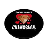 Zoom IMG-1 definire il cattivo chiweenie cane Zoom IMG-1 definire il cattivo chiweenie cane