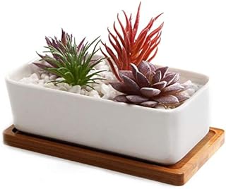 T4U 16.5CM Ceramic White Rectangle Succulent Plant Pot/Cactus Plant Pot With Bamboo Tray
