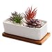 T4U 6.5 Inch Ceramic White Rectangle succulent Plant Pot/Cactus Plant Pot With Bamboo Tray
