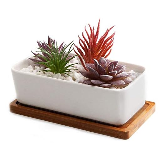 T4u Conjunto de 1 Ceramica Blanca Rectángulo Cerámicos Planta Maceta Suculento Cactus Planta Maceta Planta Contenedor Vivero Maceta Macetas de jardín Macetas Envase