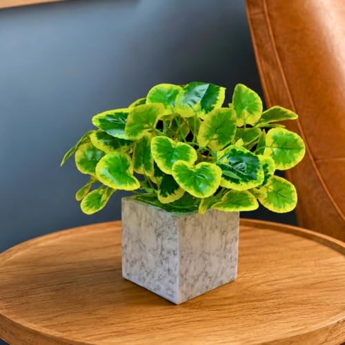 Image of fancymart Artificial Plant with Real-Touch Leaves in Pot, 25 cm, Indoor Tabletop Item for Home Decor, Office, Living Room