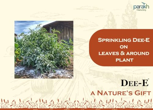 Image of DEE-E Diatomaceous Earth Powder | 100% Pure Natural Organic | Indoor Outdoor Pest Control Soil Amendment Deodorizer Cleaning Agent | (1 kg, Pack of 1)