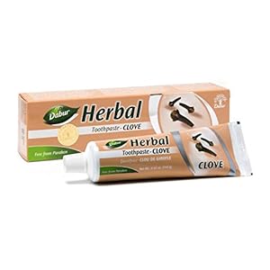 Ayurveda FC223100UK Tandpasta 100g,