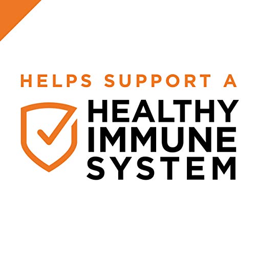 Purina Pro Plan High Protein Wet Cat Food in Gravy, Beef and Cheese