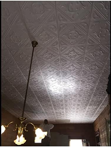 Miniatura 7 de 50 placas para techo Anet (20" x 20" espuma) - Cubre alrededor de 135 sqft