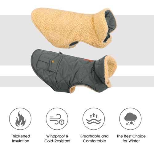 CITÉTOILE Wintermantel Hundemantel, Warme Winterjacken mit Fleece für Hunde,Hundejacke Hundekleidung Hundepullover Dog Coat mit Geschirr Loch für Chihuahua Dackel, Grau, XS