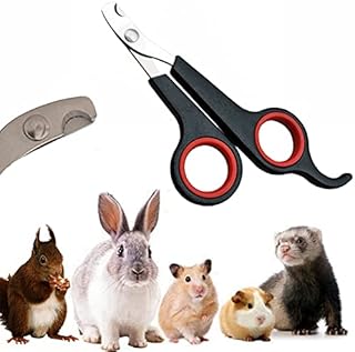 Rabbit Nail Clippers - Professional Pet Nail Clippers Stainless Steel Claw Trimmer Scissors for Small Animal Rabbit Guinea Pig Puppy Ferret Hamsters Chinchilla Sugar Glider Grooming Supplies (Black)