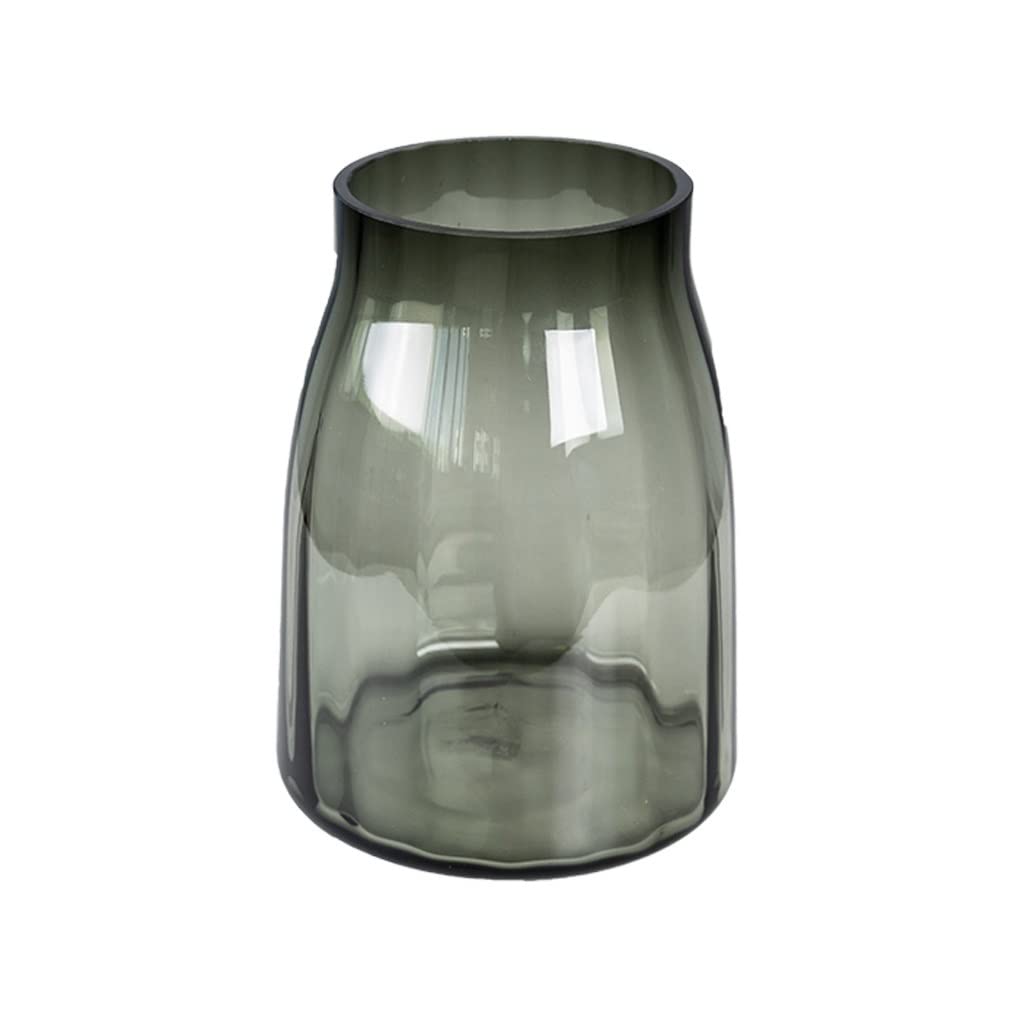 Vase transparent pour plante hydroponique évitant le manque d'eau