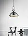 CWI Lighting 9602P16-1-601 1 Light Chandelier with Chrome Finish, Chrome Finish
