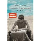 Unter der Drachenwand: Roman