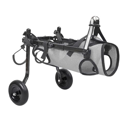 Chariot pour animaux de compagnie et balades du chien handicapé S