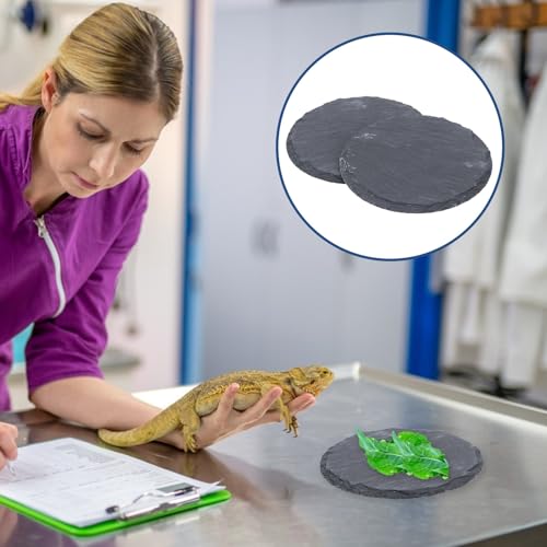 BETOOKY Schildkrötensteinschale 2Pcs Reptilien Sonnenplattform aus simuliertem Naturstein für Fütterung und Habitat im Terrarium für Wasserschildkröten-7