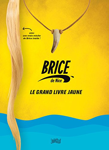 Brice de Nice, le grand livre jaune