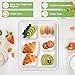Qi Boo Compostable 5 Compartment Plates Disposable, 12.5 x 8.5 inch, [50-Pack] Heavy Duty Paper Plates with dividers, Sturdy School Lunch Trays, White Large Paper Dinner Plates for Buffet Party
