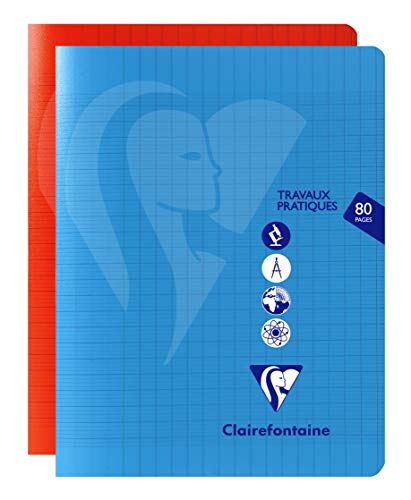 Preisvergleich Produktbild Clairefontaine Notizheft mit Mimesys 17x22 cm